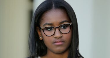 The Truth About Sasha Obama's Incredible Transformation