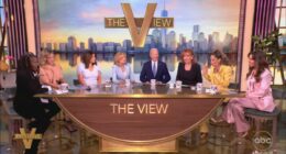 The View likened to 'insane asylum' by critic for 'booking 102 liberal guests and NO conservatives'