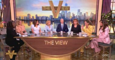 The View likened to 'insane asylum' by critic for 'booking 102 liberal guests and NO conservatives'