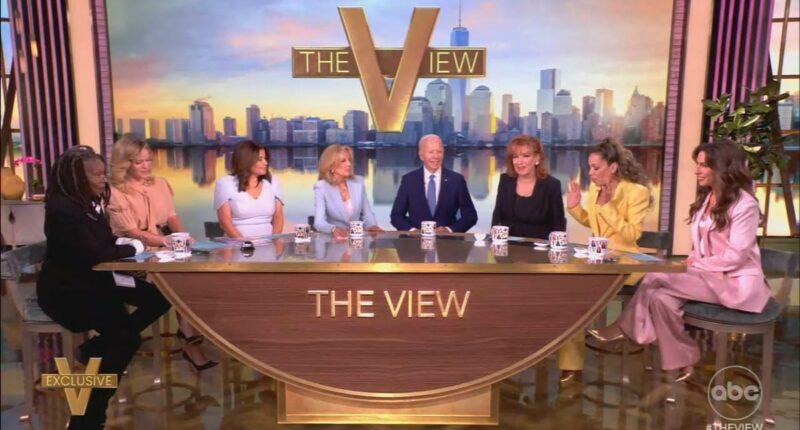 The View likened to 'insane asylum' by critic for 'booking 102 liberal guests and NO conservatives'