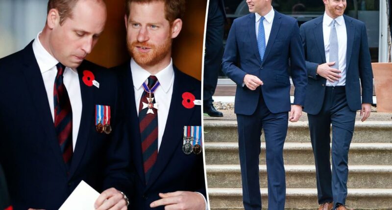 The real reason Prince William hasn’t tried to reconcile with Prince Harry revealed