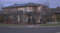 A group of teenagers have allegedly stormed a house party armed with machetes, stabbing three people this morning.