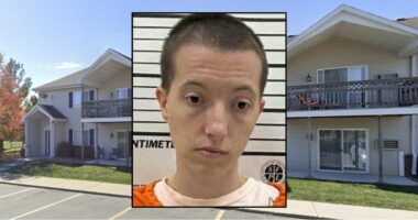 Toddler fell from window after mom left kids alone: Police