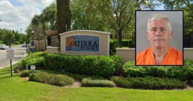 Tourist tries to drown daughter-in-law in pool: Cops