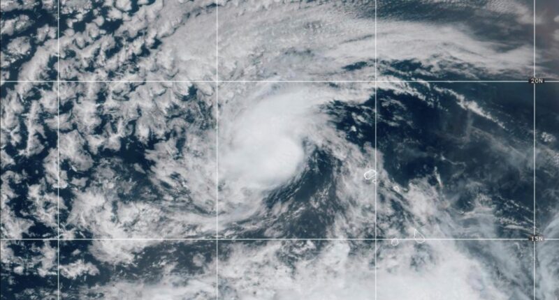Tropical Storm Erin could strengthen into Category 1 Hurricane Friday afternoon, forecasters say
