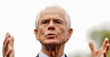 Trump Releases Video of Peter Navarro Explaining History Behind Tariffs