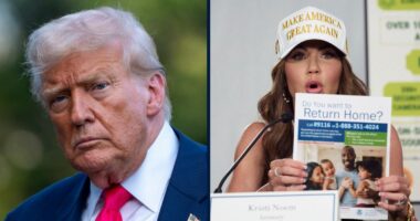 Trump admin asks SCOTUS to halt judge's ICE injunction