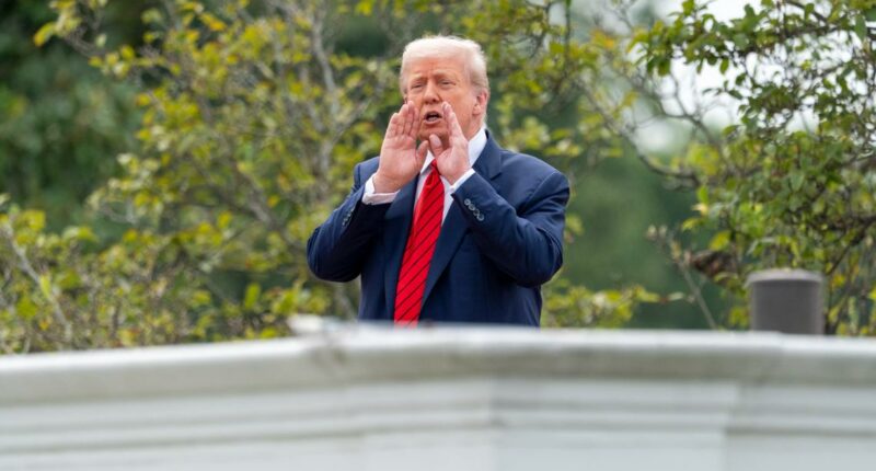 Trump appears on White House roof, shouts answers to reporter questions