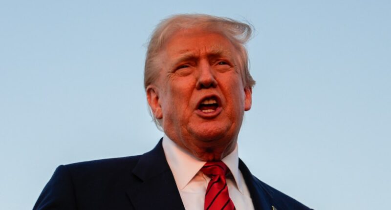Trump is creating a task force for the 2028 Olympic Games in Los Angeles