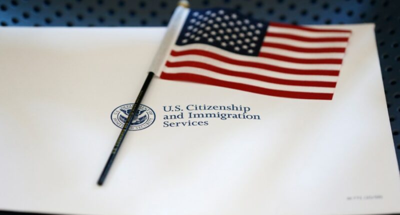 Trump orders review of 55M US visa holders for deportable violations