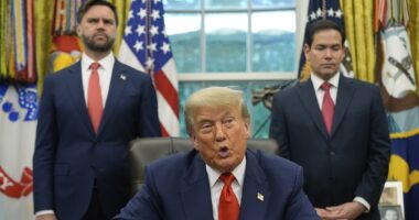 Trump privately teases 2028 rivalry between Vance and Rubio with cheeky eyebrow raising comments