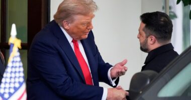 Trump pushes for Zelenskyy-Putin meeting in coming weeks