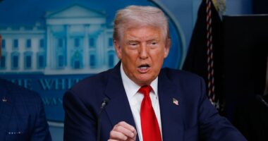 Trump says 25% odds Putin meeting ends in FAILURE as he's accused of selling out to Russia with minerals deal to stop war