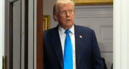 Trump sets new tariffs on US partners effective Aug. 7