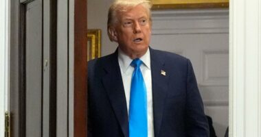 Trump sets new tariffs on US partners effective Aug. 7