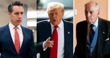 Trump trains his fire on GOP allies, and worries Republicans