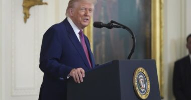 Trump’s Got A Great Suggestion For Reporters Claiming D.C. Crime Is Not A Problem