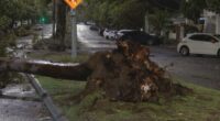 P﻿arts of Victoria are still being lashed by wild winds this morning after a long, busy night for the State Emergency Service.