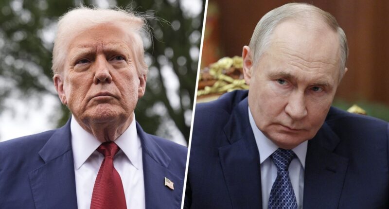 US Envoy Meets With Putin Ahead of Trump's Sanctions Deadline