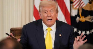 Donald Trump has made it much harder for citizens of many African countries to visit the US.