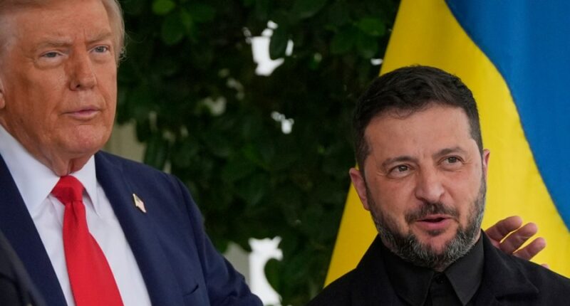Ukraine developing missiles as Trump hints it could 'play offense'