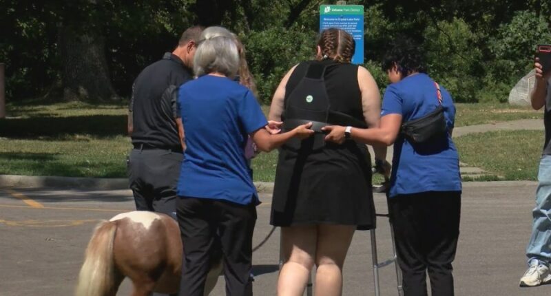 Urbana patient makes huge stride in recovery with the help of horses