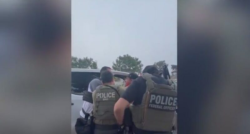 VIDEO: ICE agents detain parent near California elementary school