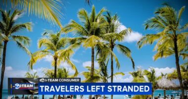 Vacationers lose thousands of dollars, say Chicago travel agent Laticha Douglas, Flygirl World Travel left them stranded