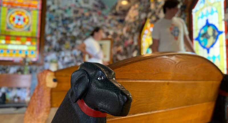 Vermont's Dog Mountain celebrates bond between dogs and their humans