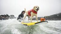 Jeff Nieboer pushes Charlie Surfs Up through the breakers during the World Dog Surfing Championships