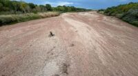 Western states seek to end long-running water dispute over dwindling Rio Grande