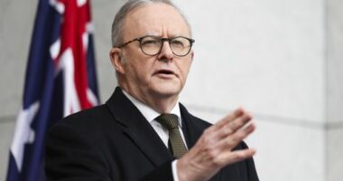 Prime Minister Anthony Albanese during a press conference at Parliament House in Canberra on Monday 11 August 2025. fedpol Photo: Alex Ellinghausen