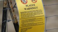 What still causes the plague in the US?