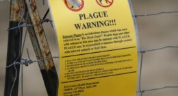 What still causes the plague in the US?