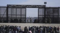 White House Drops One Stunning Graphic That Shows Reality of Trump’s Border Actions
