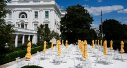 White House Rose Garden set to debut after Mar-a-Lago makeover