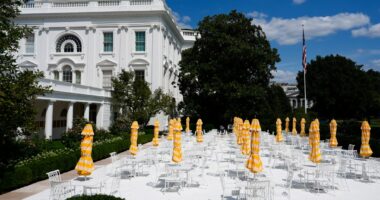 White House Rose Garden set to debut after Mar-a-Lago makeover