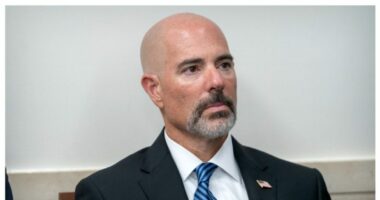 Who is Terry Cole, Trump's point man for DC police takeover?