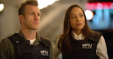 Why Fox Canceled Alert: Missing Persons Unit