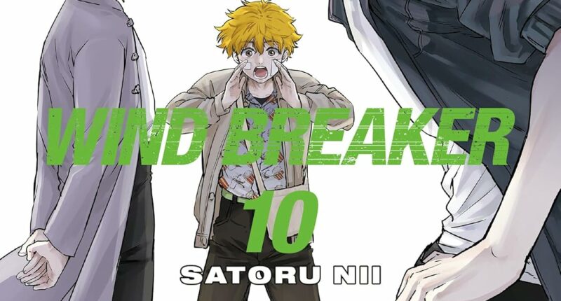 Wind Breaker Volumes 10 and 11 Review