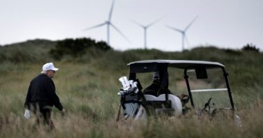 Wind turbines face headwinds under Trump administration