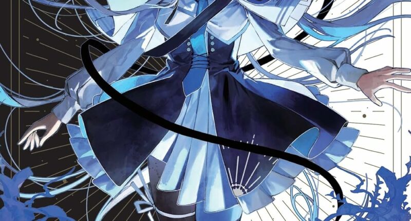 Witches Can’t Be Collared (Light Novel) Volume 1 Review