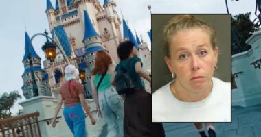 Woman allegedly tried to smuggle meth into Disney World