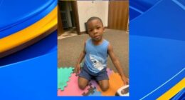 Woman charged after boy in state's custody dies in hot car