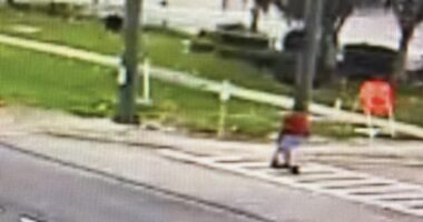 Woman sexually assaulted on Seminole Wekiva Trail; suspect on the loose, deputies say