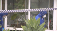 Woman stabbed to death in suspected DV attack