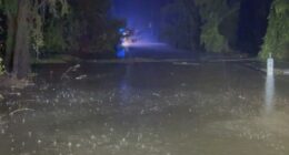 Woman missing in floodwaters NSW hunter region