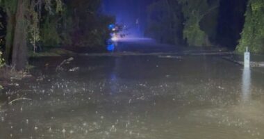 Woman missing in floodwaters NSW hunter region