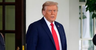 Woman threatens to 'sacrificially kill' Trump: DOJ