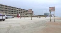 Yea or neigh? Volusia County may open beaches for horseback riding